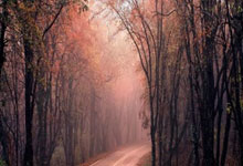 AYX：瓜帅率队主场4球惨败 上次做到这一点的还是皇马.