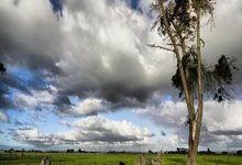 AYX：次轮57顺位！知名选秀网站预测25届NBA选秀：杨瀚森被魔术选中.