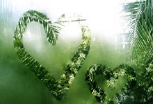 王楚钦、林诗栋出战半决赛 女单上演“中国德比” WTT总决赛今日赛程→央视新闻客户端.